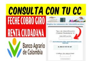 puedes-consultar-su-giro