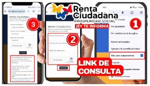 CONSULTA-RENTA-CIUDADANA